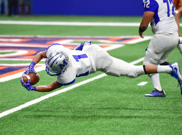 Professional Football